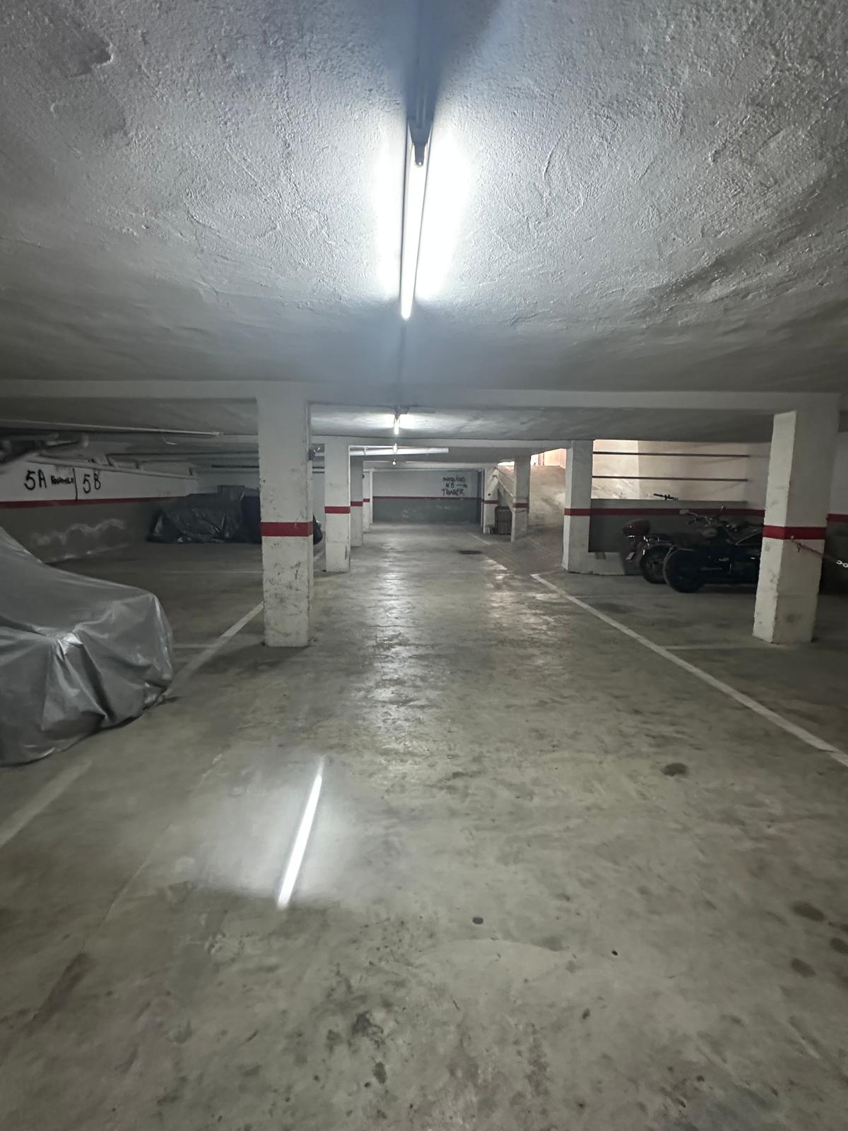 WhatsApp Image 2026-01-28 at 11.38.02